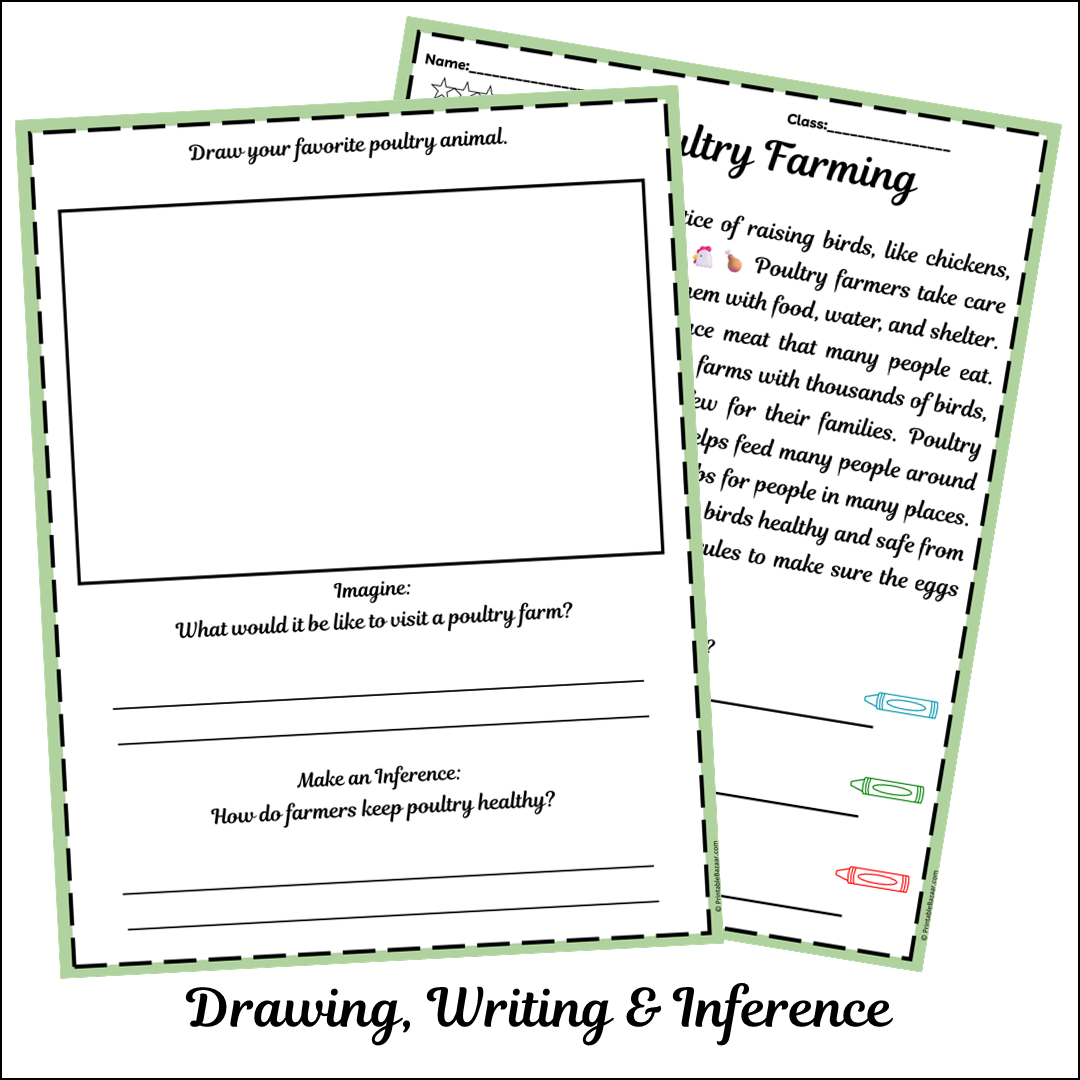 Poultry Farming | Short Reading Comprehension Creative Worksheet