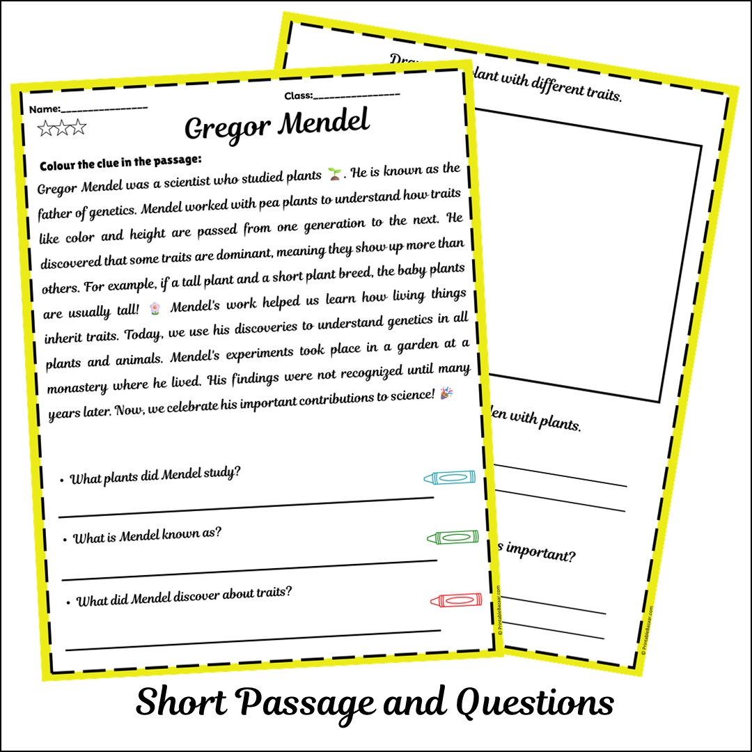Gregor Mendel | Short Reading Comprehension Creative Worksheet