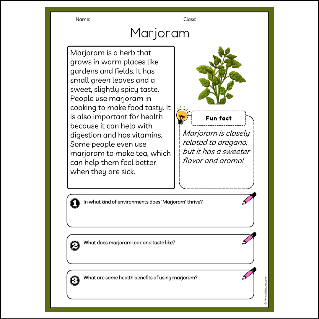 Marjoram | Reading Passage Comprehension Questions Writing Facts Worksheet