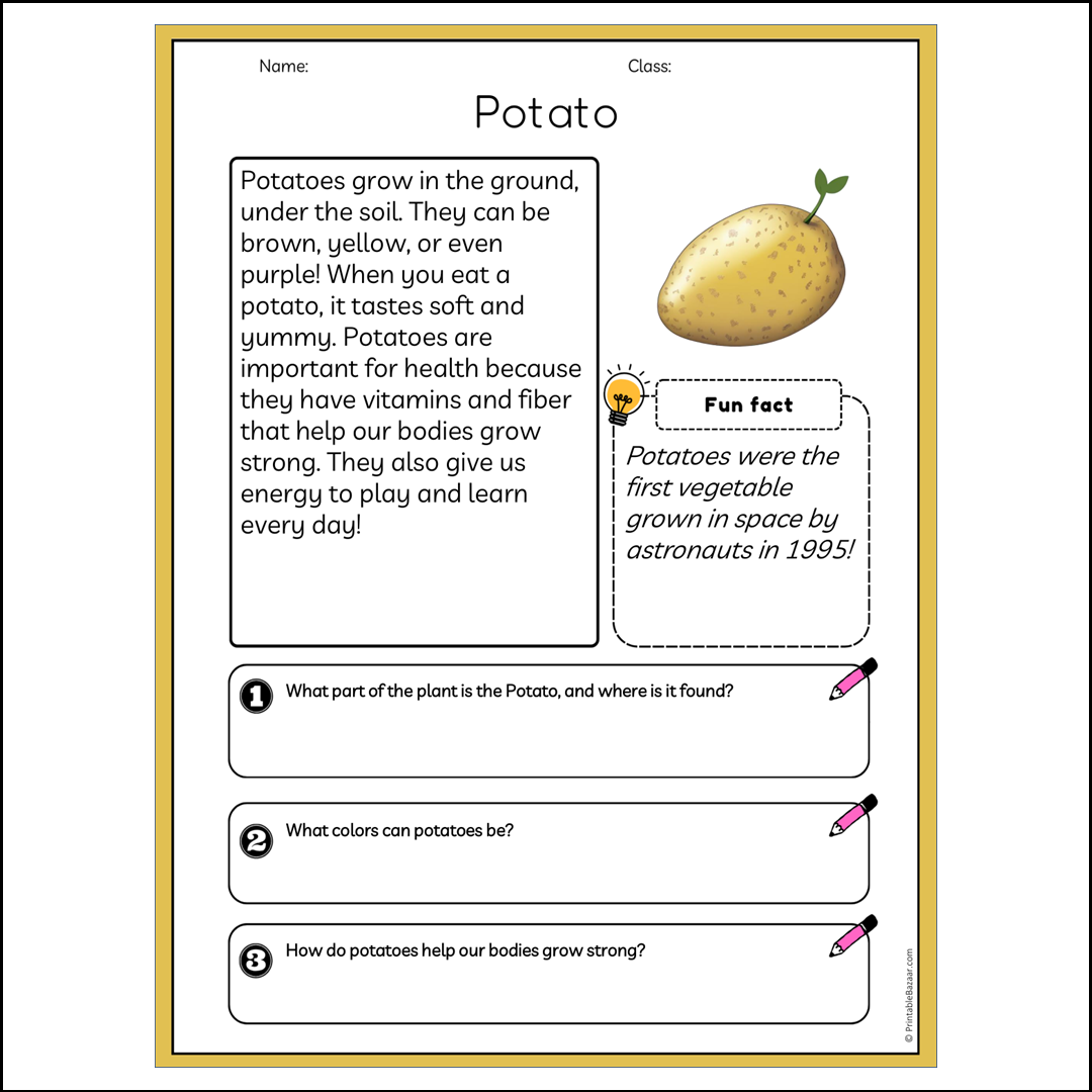 Potato | Reading Passage Comprehension Questions Writing Facts Worksheet