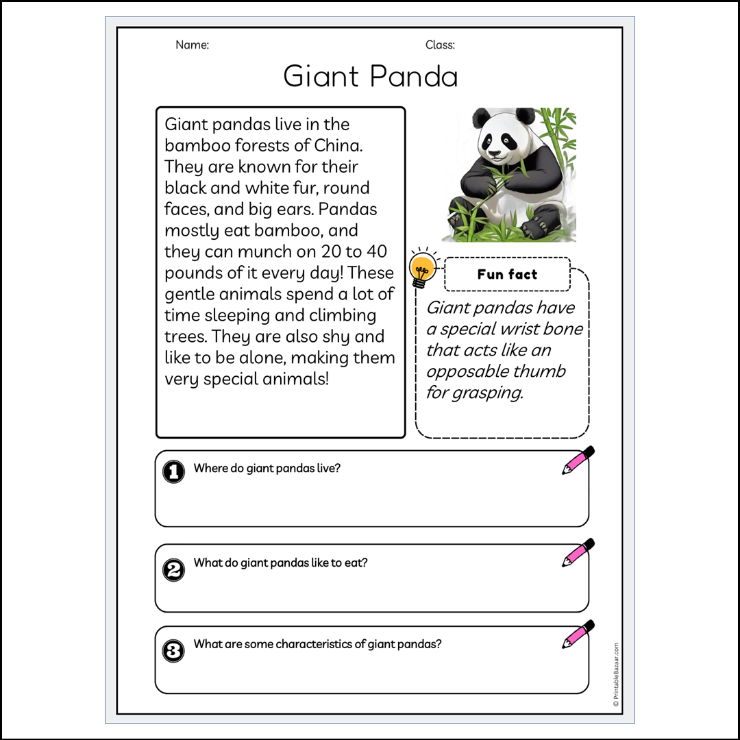 Giant Panda | Reading Passage Comprehension Questions Writing Facts Worksheet