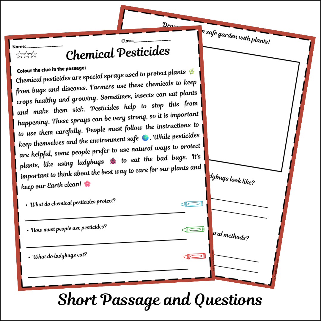 Chemical Pesticides | Short Reading Comprehension Creative Worksheet