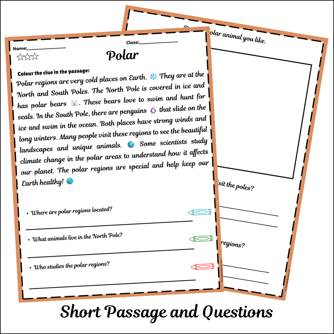 Polar | Short Reading Comprehension Creative Worksheet