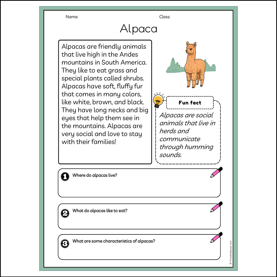 Alpaca | Reading Passage Comprehension Questions Writing Facts Worksheet