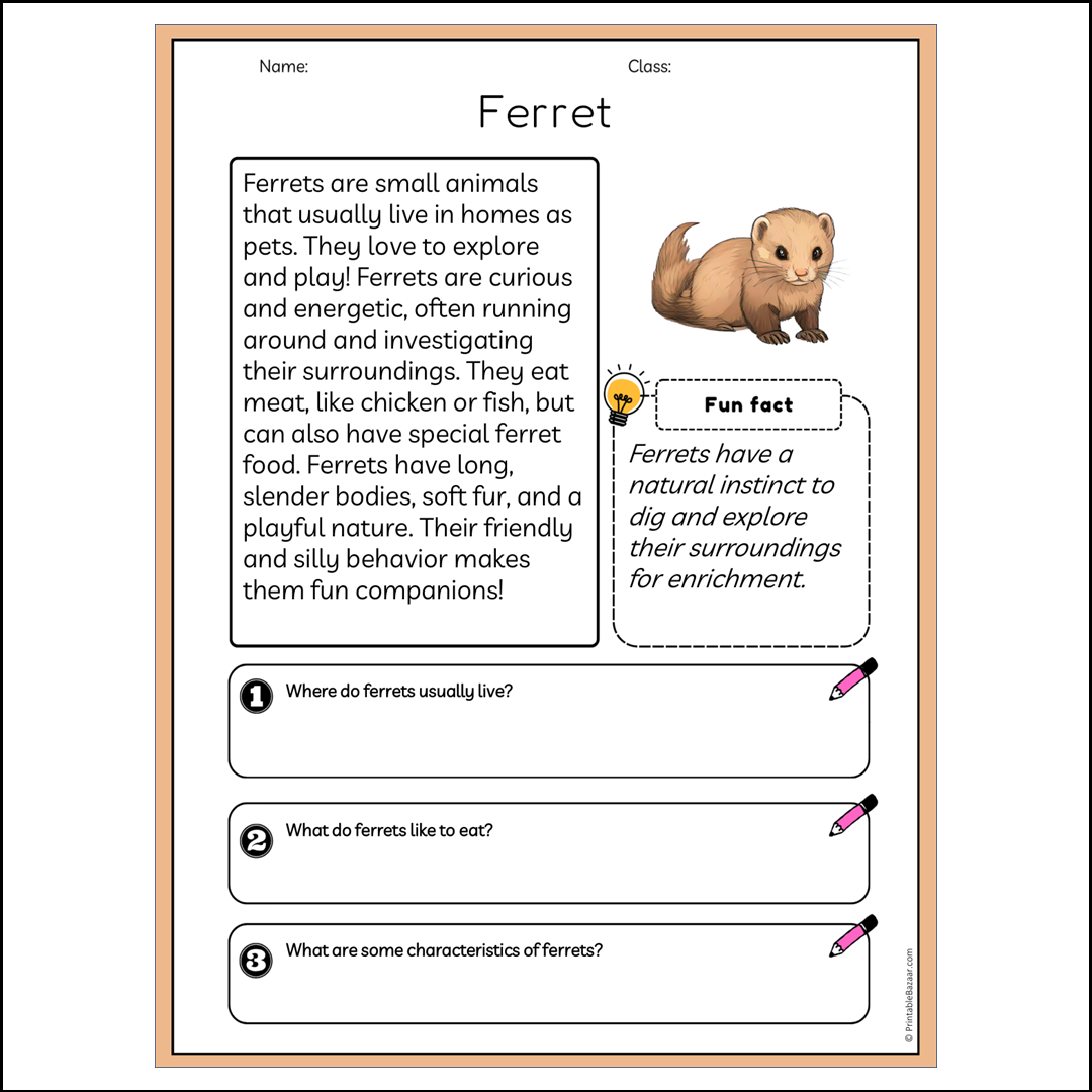 Ferret | Reading Passage Comprehension Questions Writing Facts Worksheet