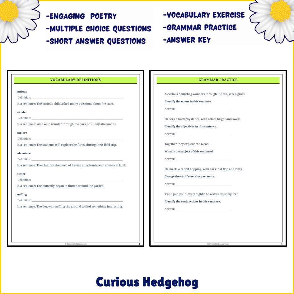 Curious Hedgehog | Poem Grammar Worksheet Printable Activity
