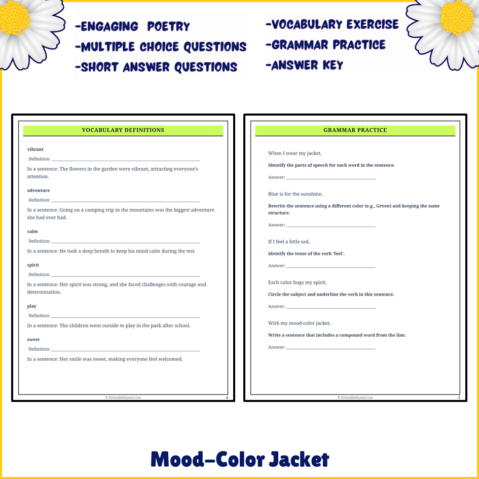 Mood-Color Jacket | Poem Grammar Worksheet Printable Activity