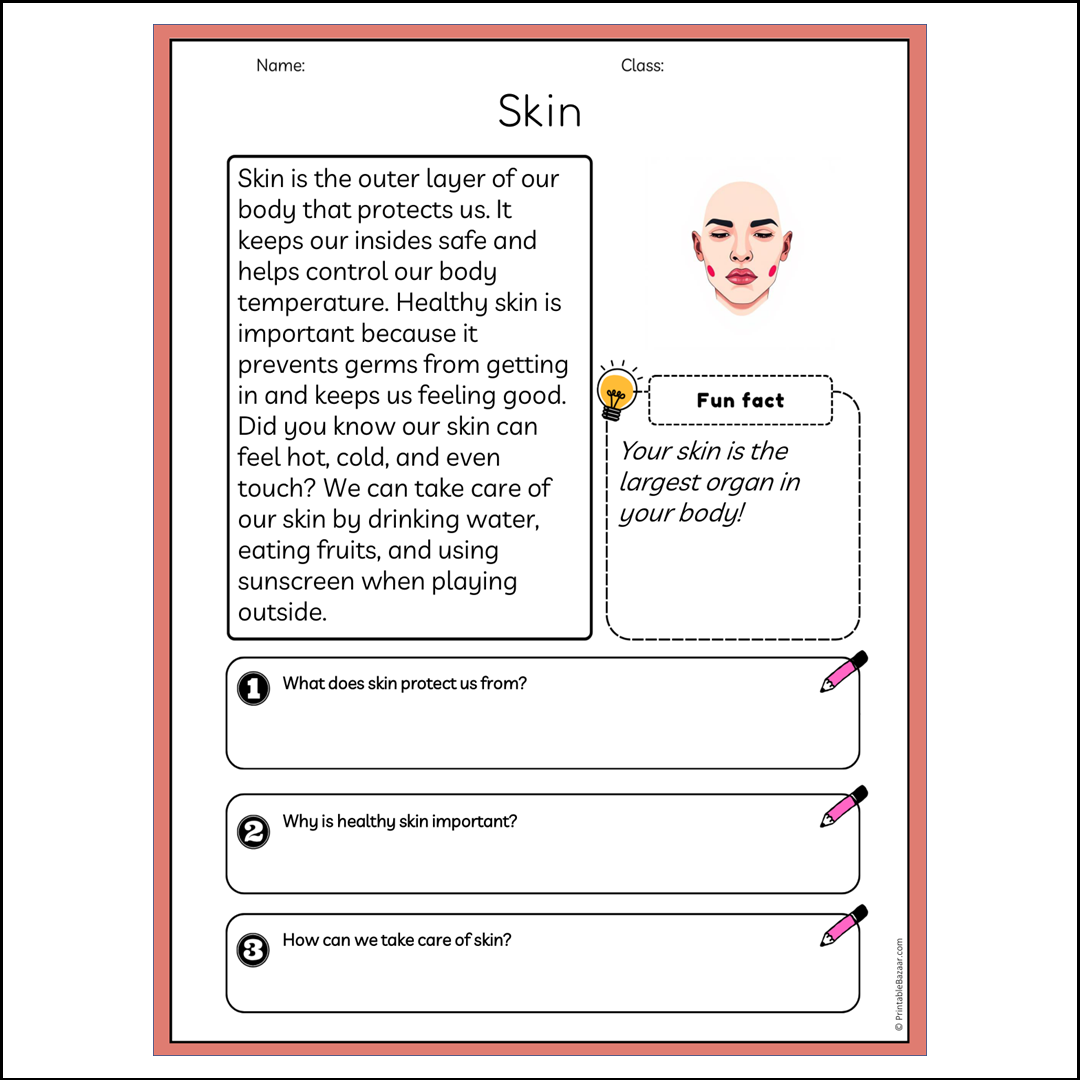 Skin | Reading Passage Comprehension Questions Writing Facts Worksheet