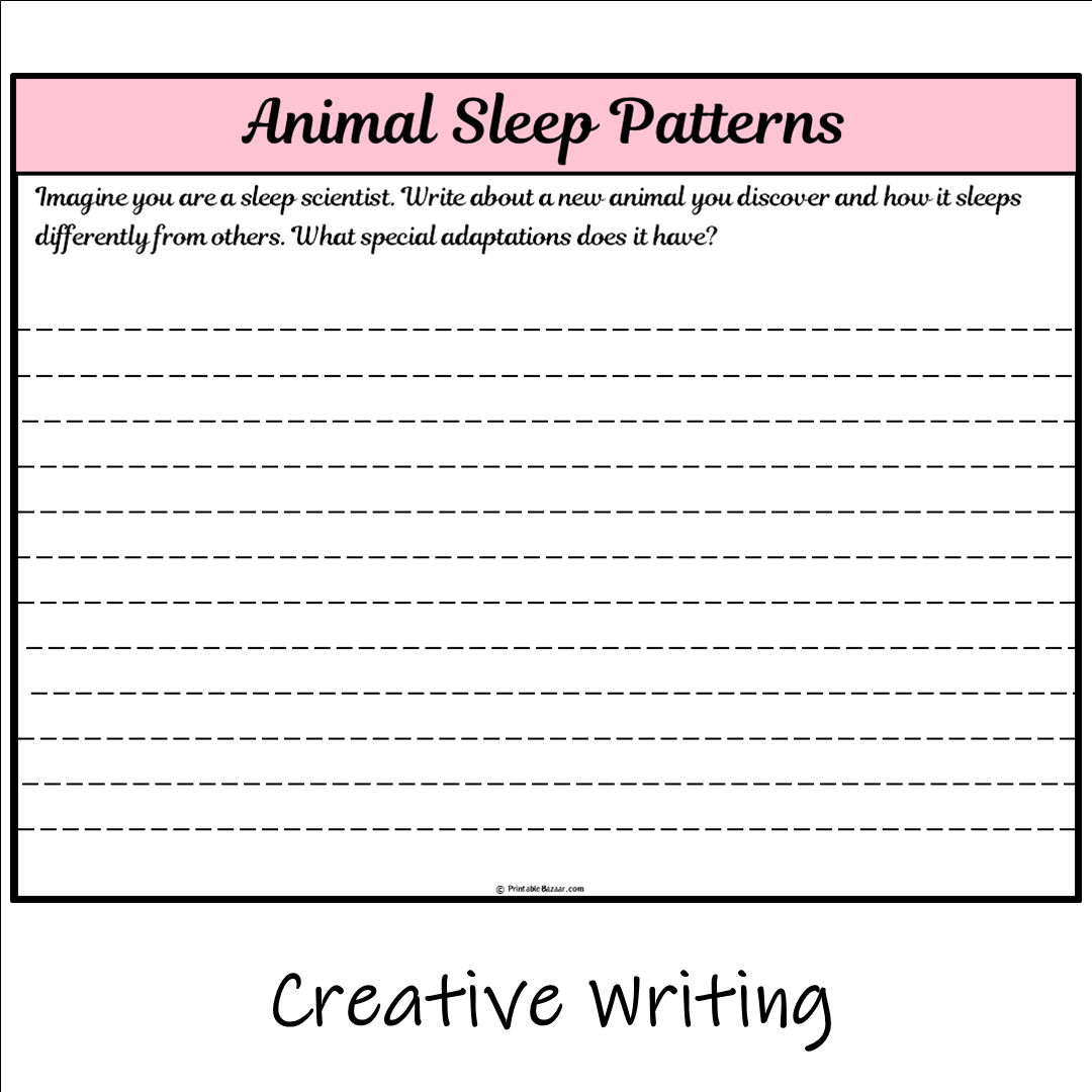 Animal Sleep Patterns | Main Idea and Supporting Details Reading Passage and Questions