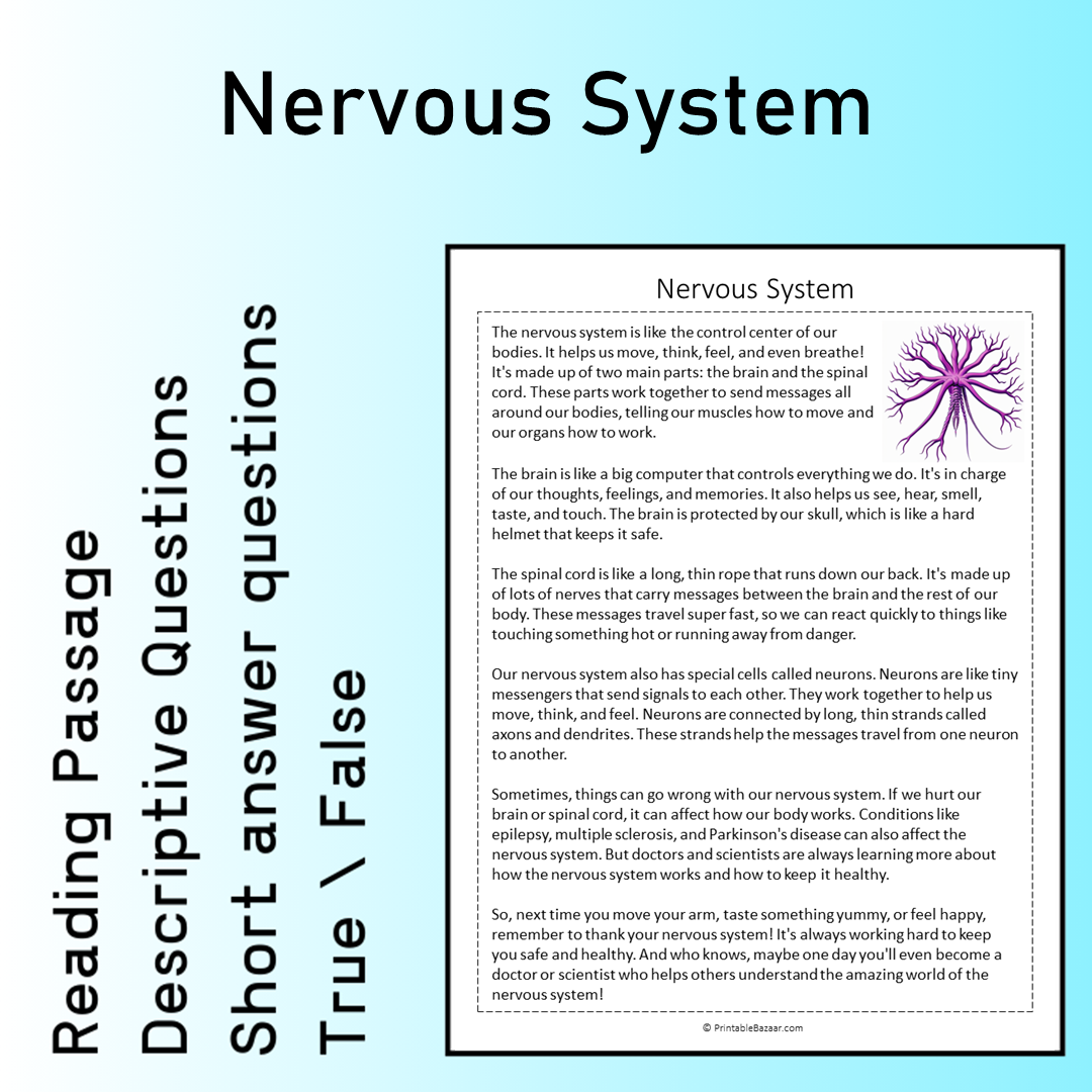 Nervous System | Reading Comprehension Passage Printable Worksheet