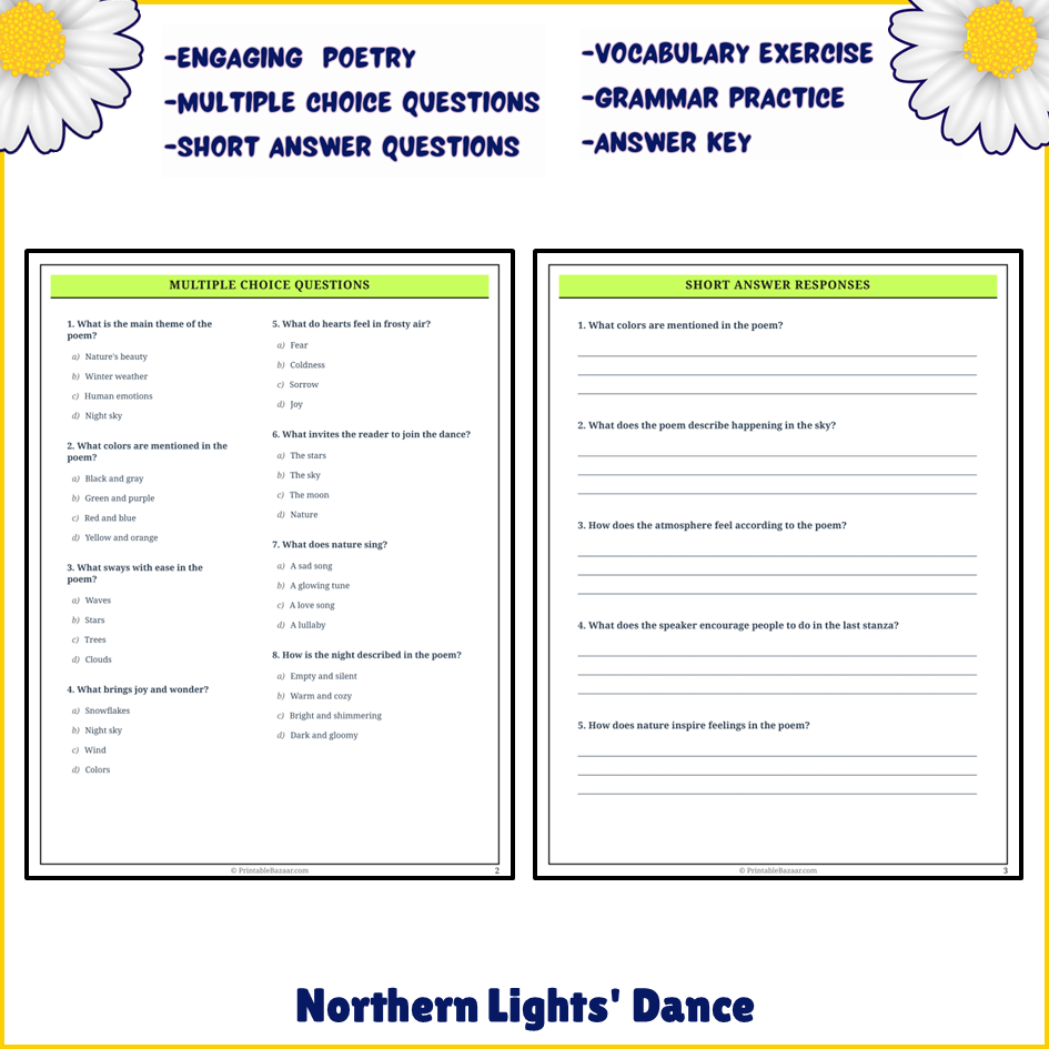 Northern Lights' Dance | Poem Grammar Worksheet Printable Activity