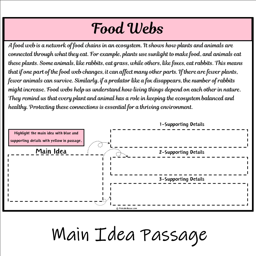 Food Webs | Main Idea and Supporting Details Reading Passage and Questions