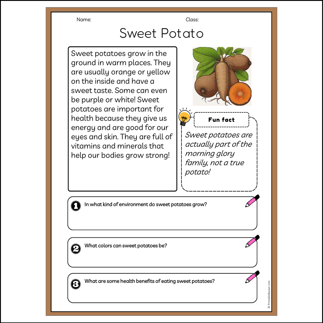 Sweet Potato | Reading Passage Comprehension Questions Writing Facts Worksheet