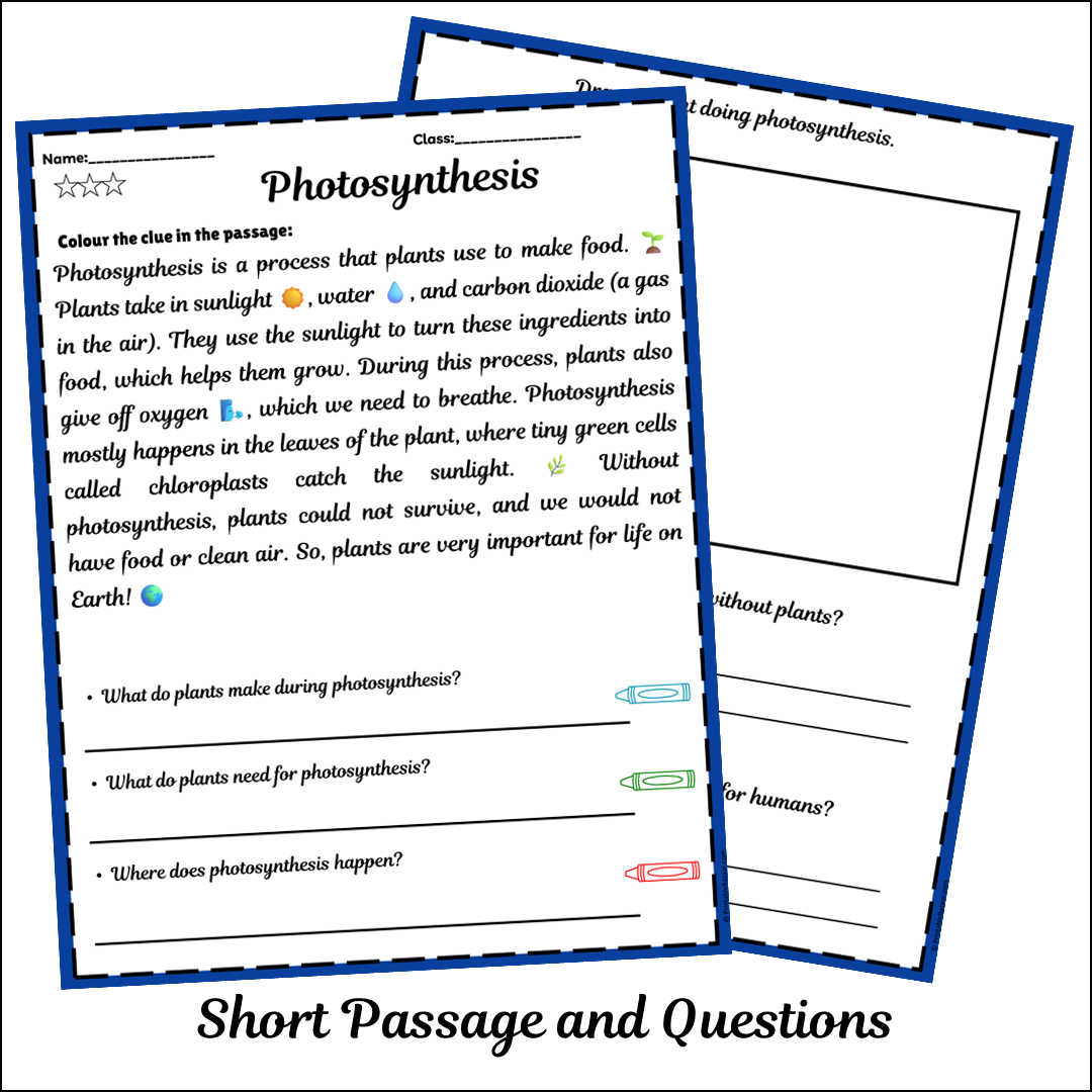 Photosynthesis | Short Reading Comprehension Creative Worksheet