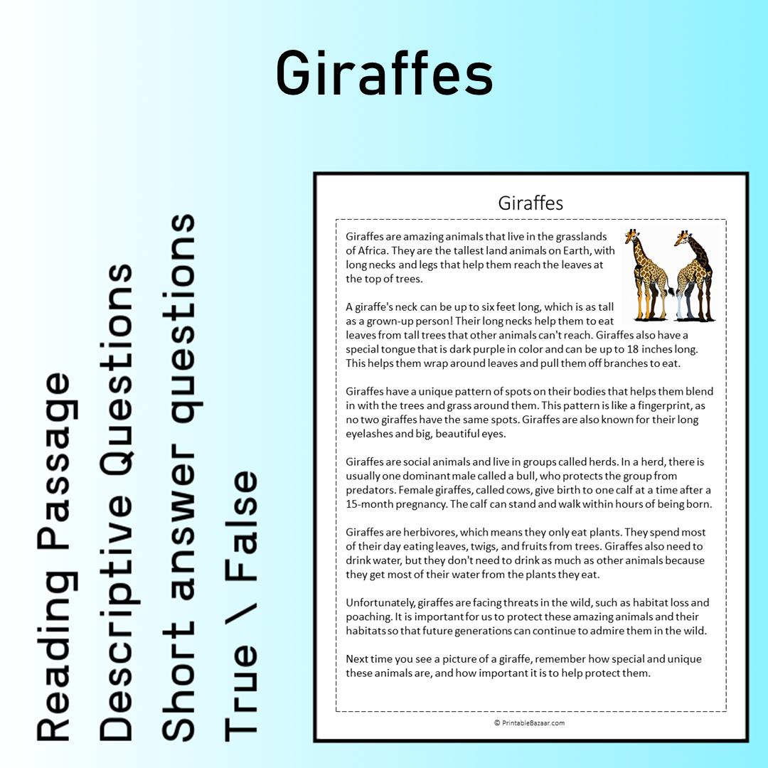 Giraffes | Reading Comprehension Passage Printable Worksheet