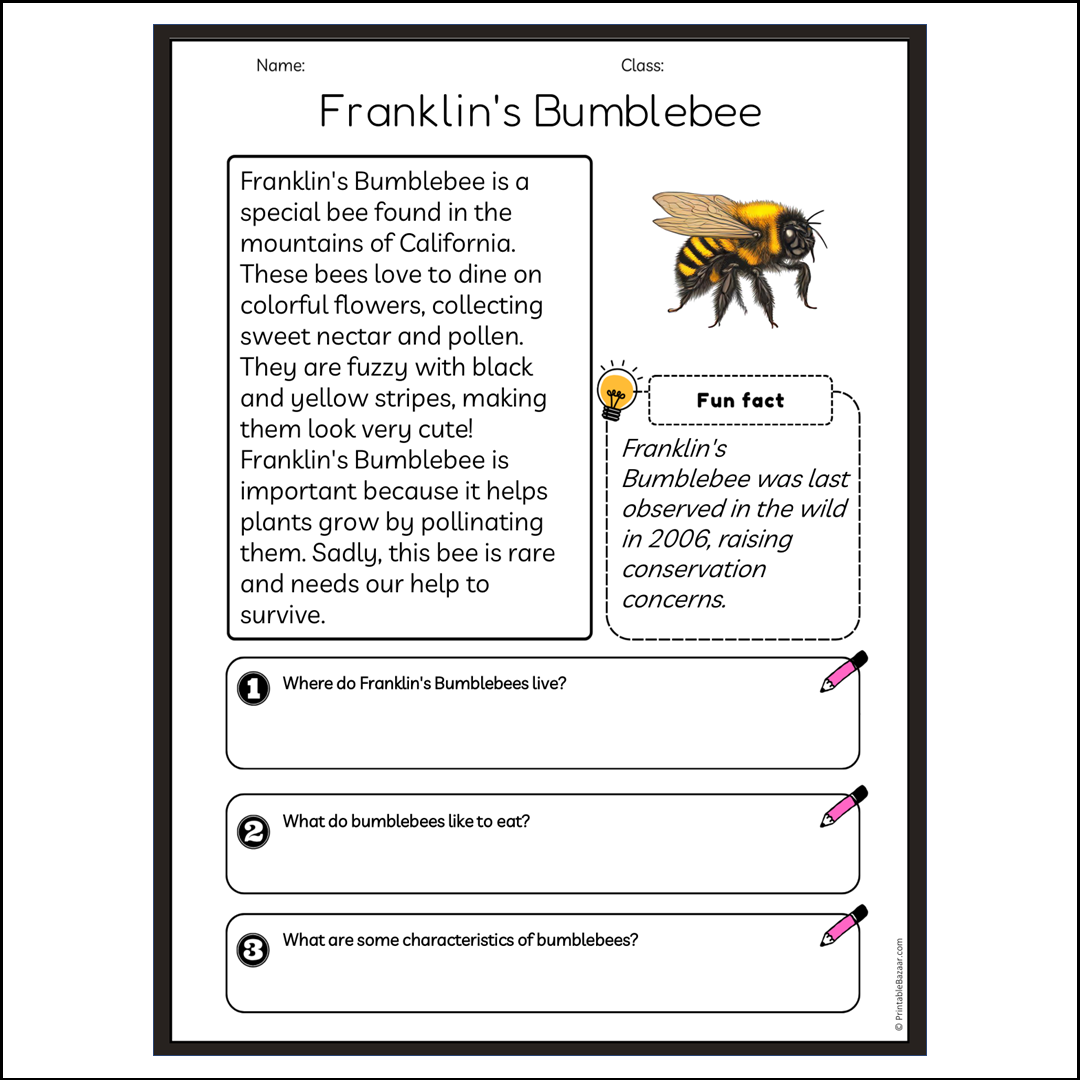 Franklin's Bumblebee | Reading Passage Comprehension Questions Writing Facts Worksheet