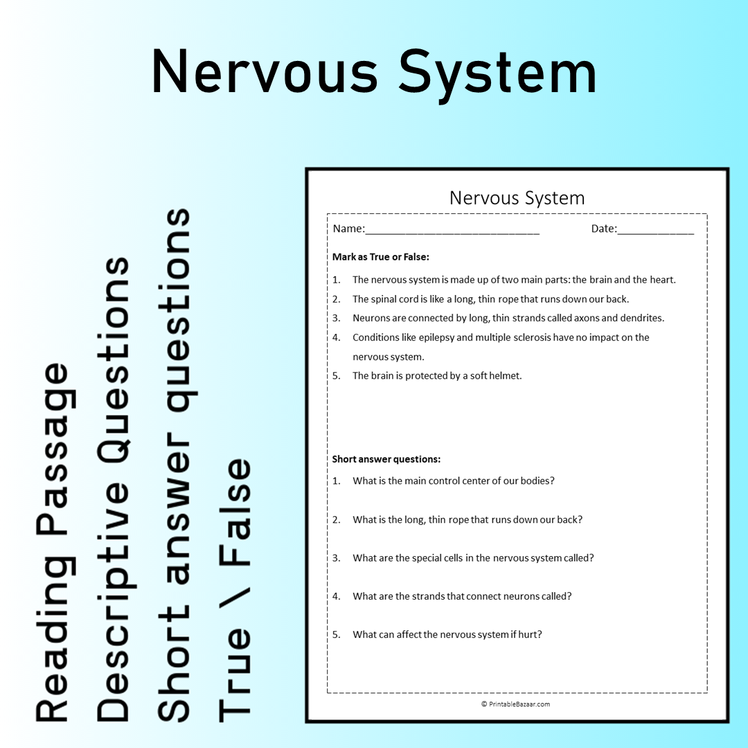 Nervous System | Reading Comprehension Passage Printable Worksheet