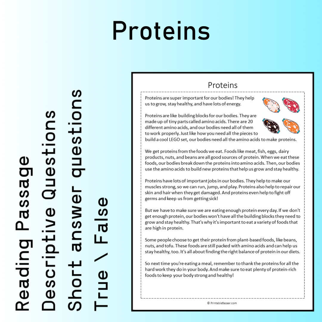 Proteins | Reading Comprehension Passage Printable Worksheet