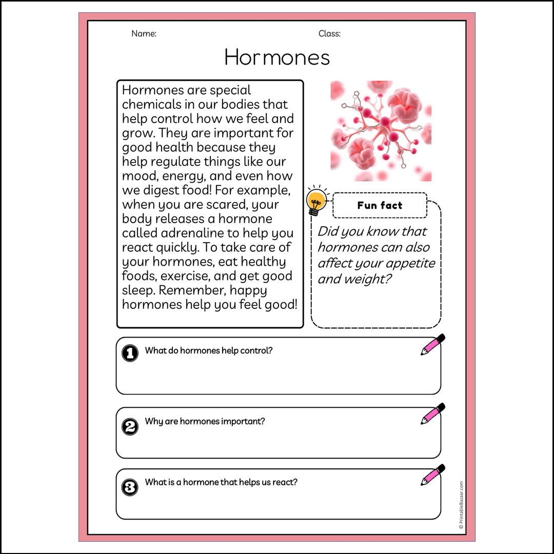 Hormones | Reading Passage Comprehension Questions Writing Facts Worksheet