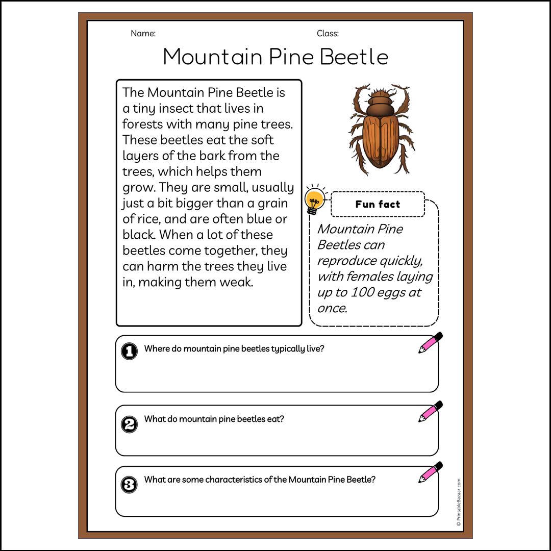 Mountain Pine Beetle | Reading Passage Comprehension Questions Writing Facts Worksheet