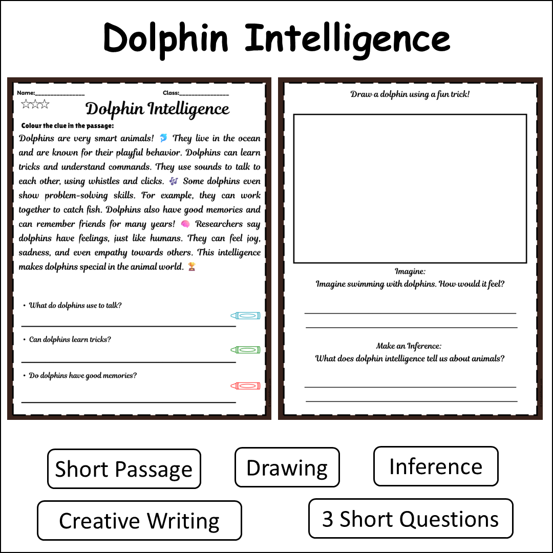 Dolphin Intelligence | Short Reading Comprehension Creative Worksheet