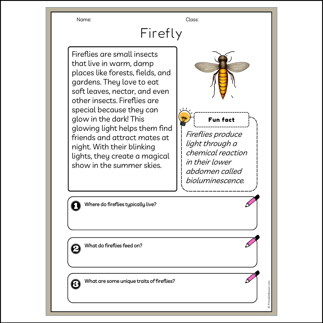 Firefly | Reading Passage Comprehension Questions Writing Facts Worksheet