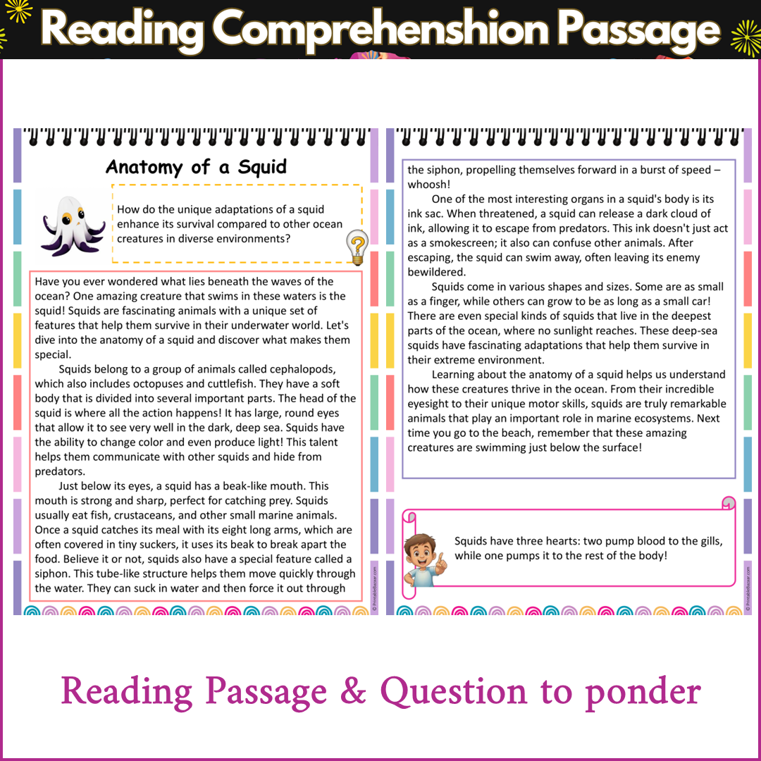 Anatomy of a Squid | Reading Comprehension Passage and Questions