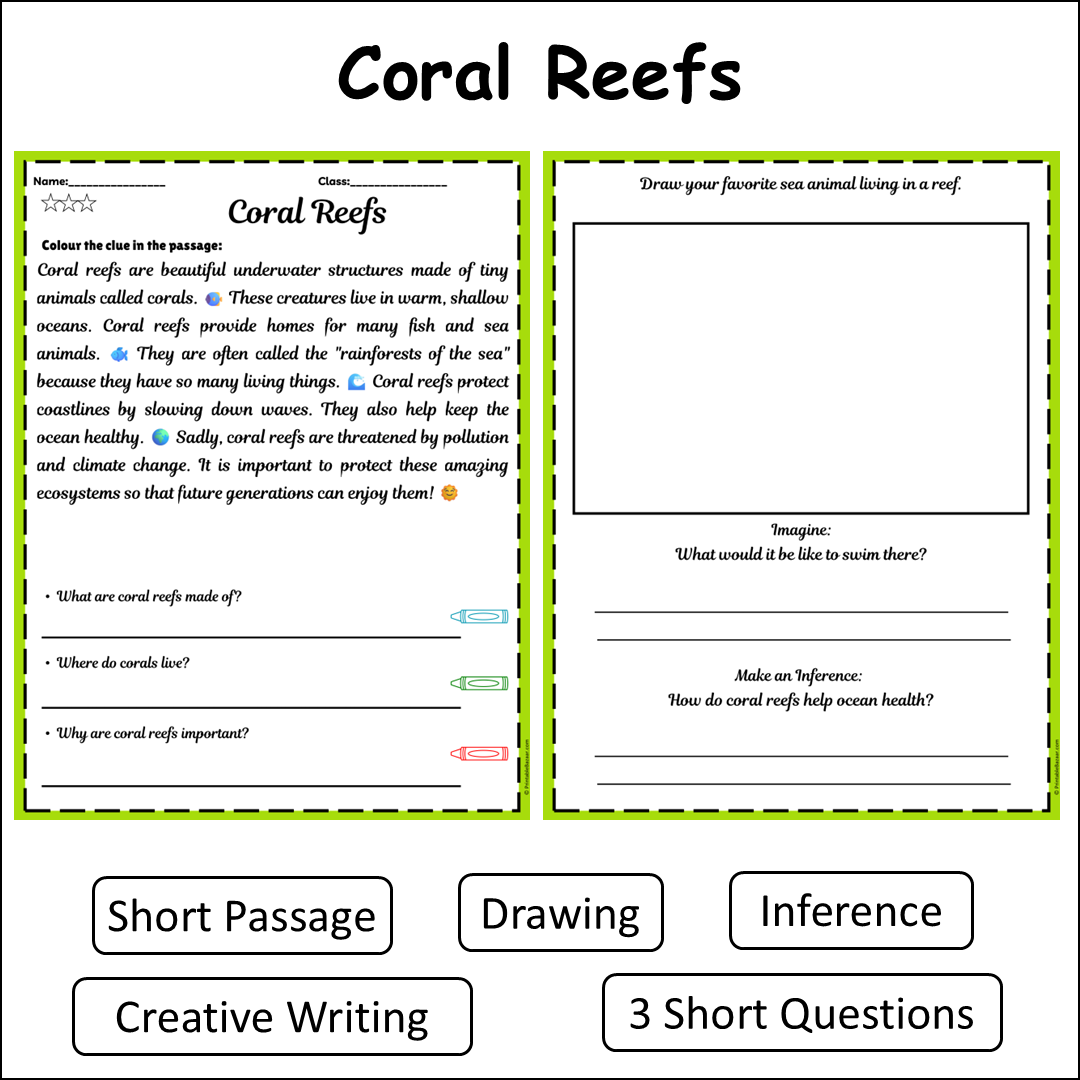 Coral Reefs | Short Reading Comprehension Creative Worksheet