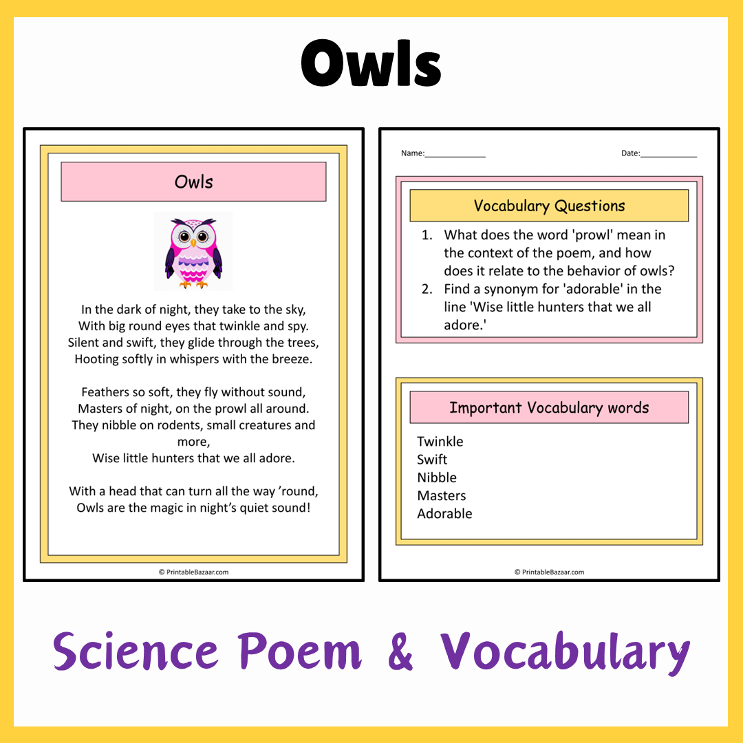 Owls | Science Poem Reading Comprehension Activity