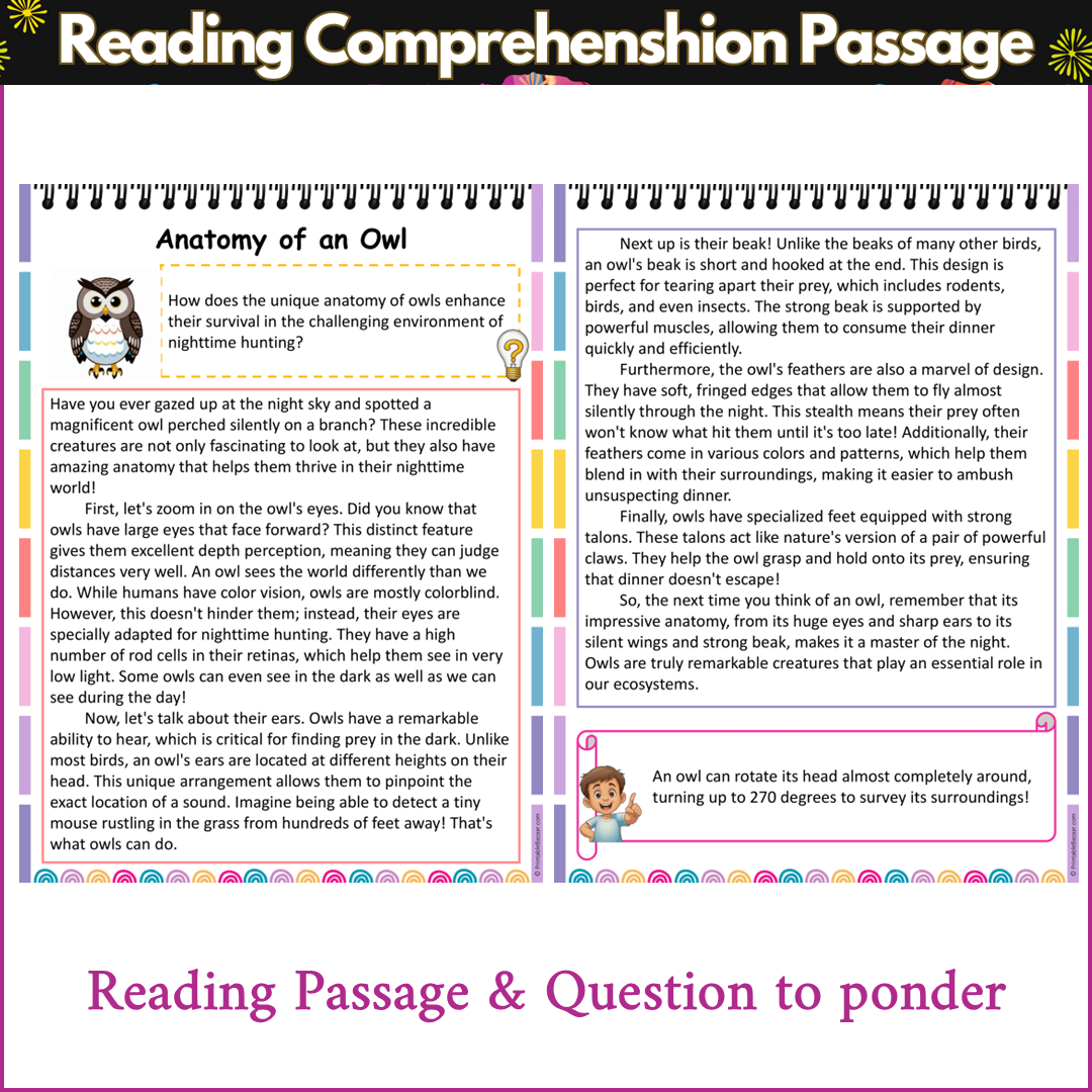 Anatomy of an Owl | Reading Comprehension Passage and Questions