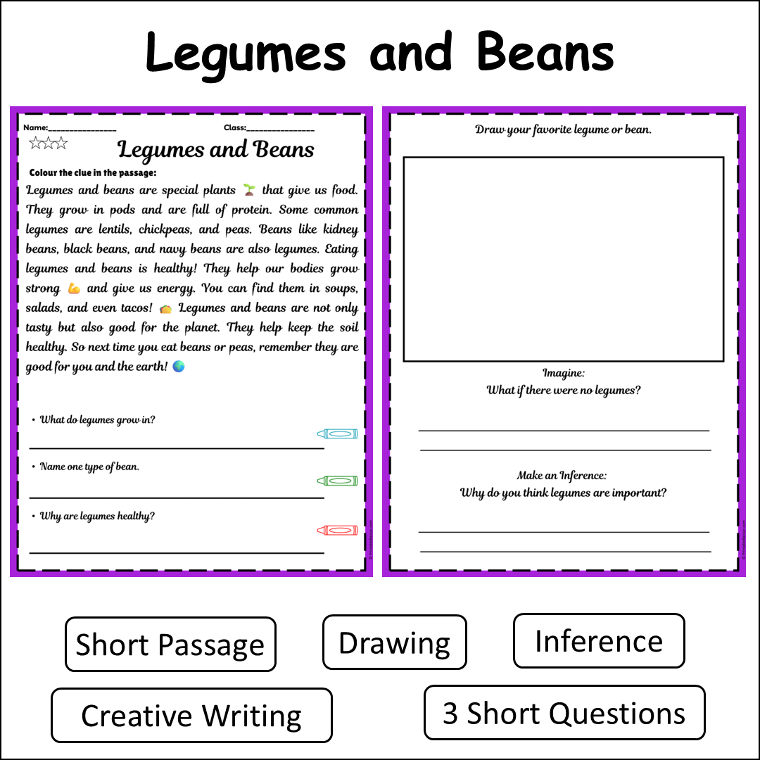 Legumes and Beans | Short Reading Comprehension Creative Worksheet