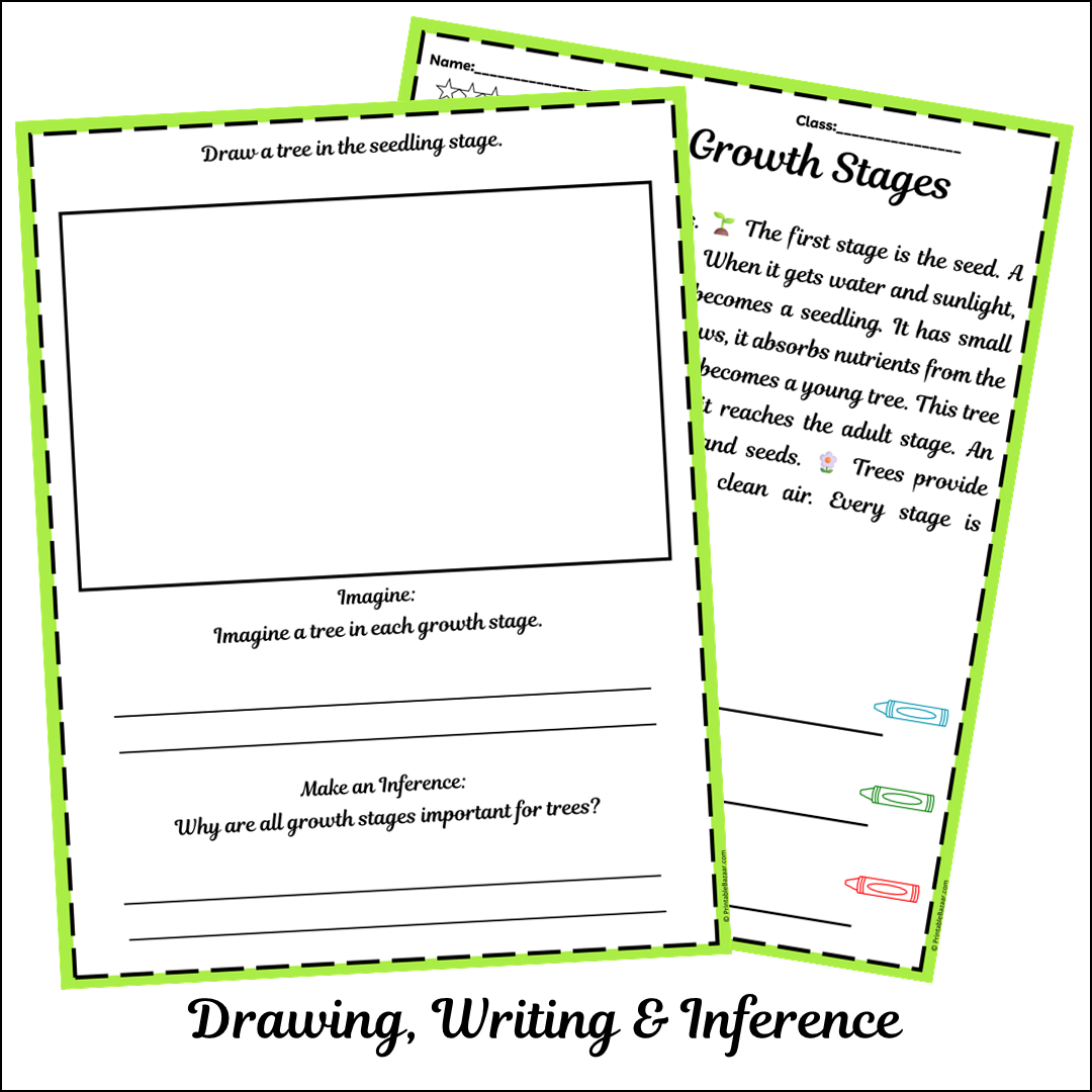 Tree Growth Stages | Short Reading Comprehension Creative Worksheet