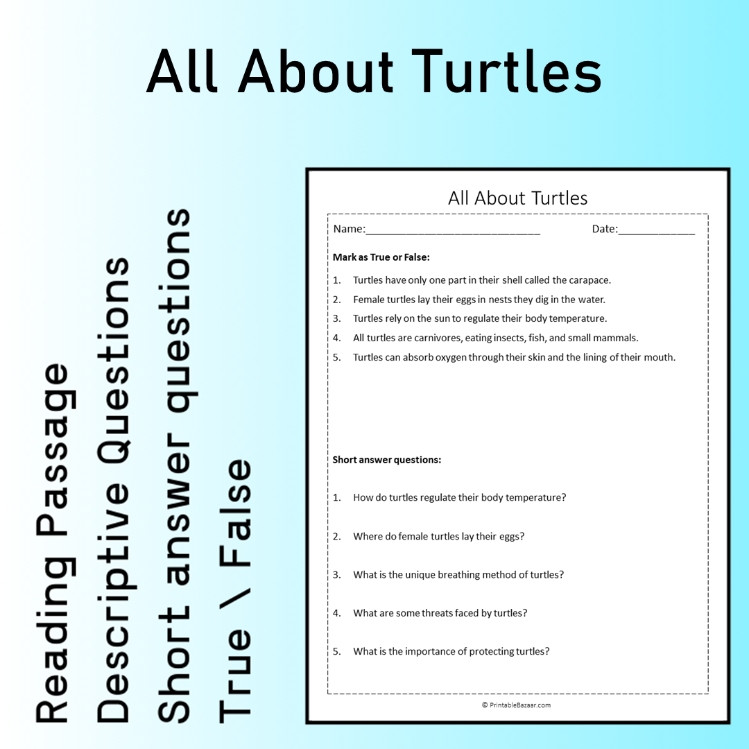 All About Turtles | Reading Comprehension Passage Printable Worksheet