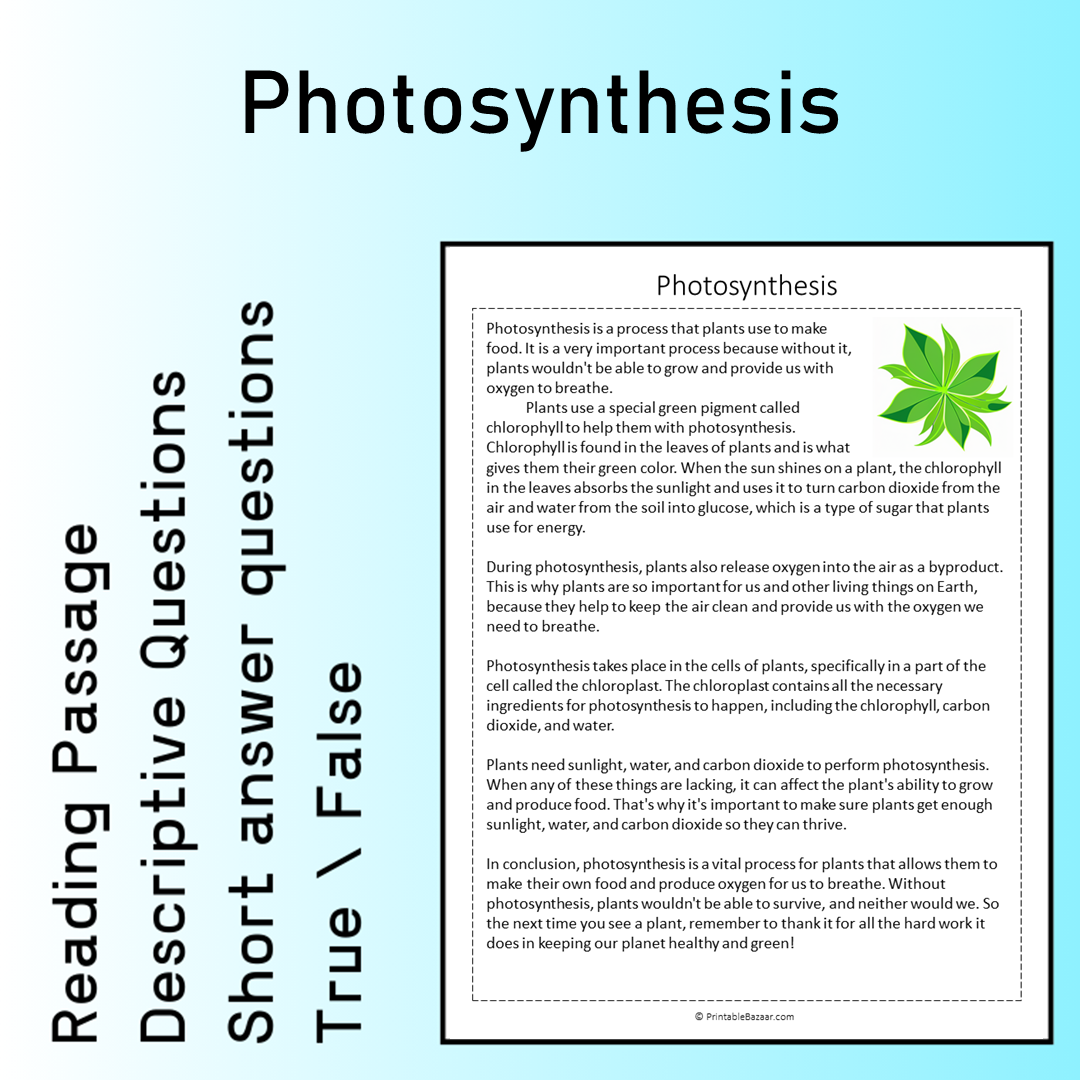Photosynthesis | Reading Comprehension Passage Printable Worksheet