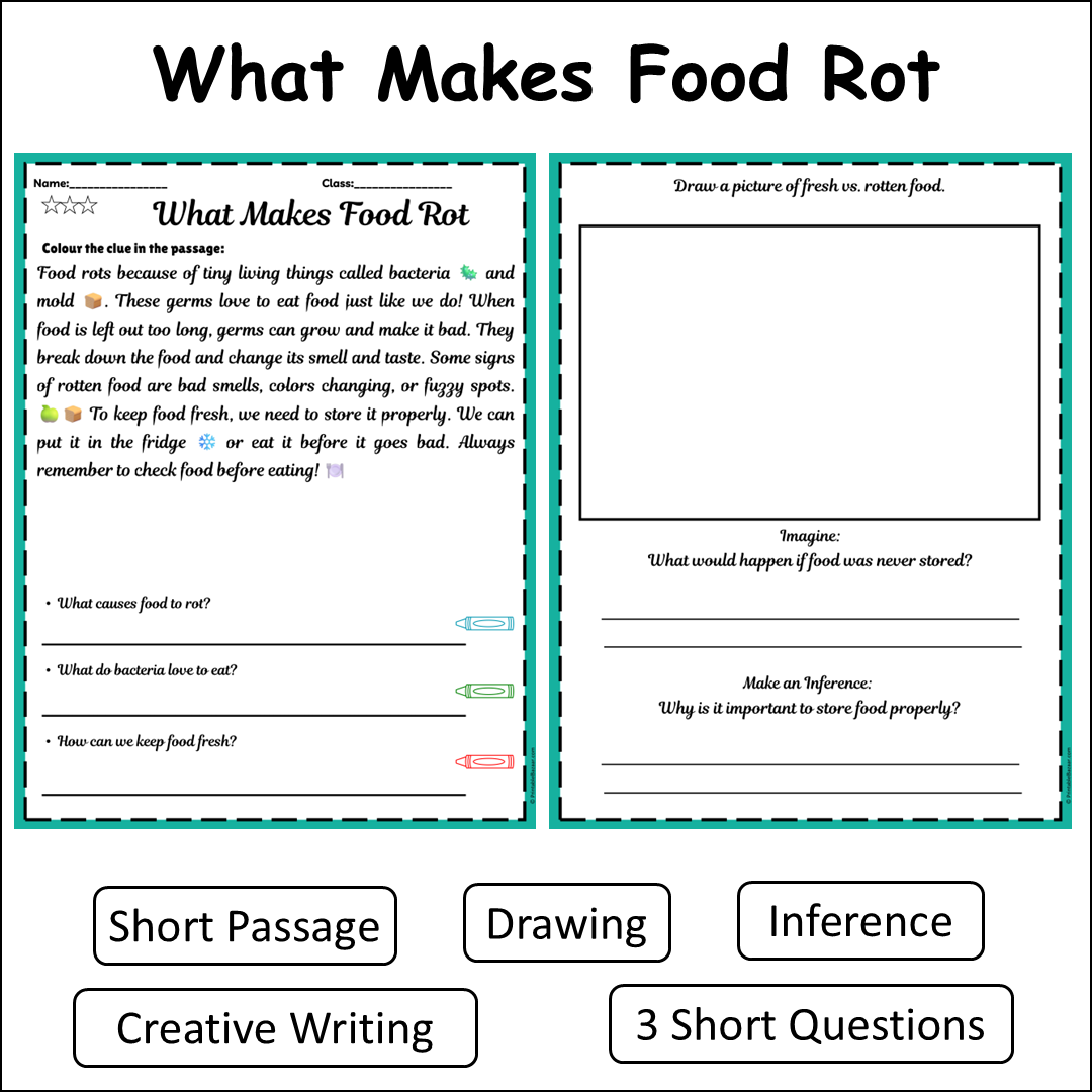 What Makes Food Rot | Short Reading Comprehension Creative Worksheet
