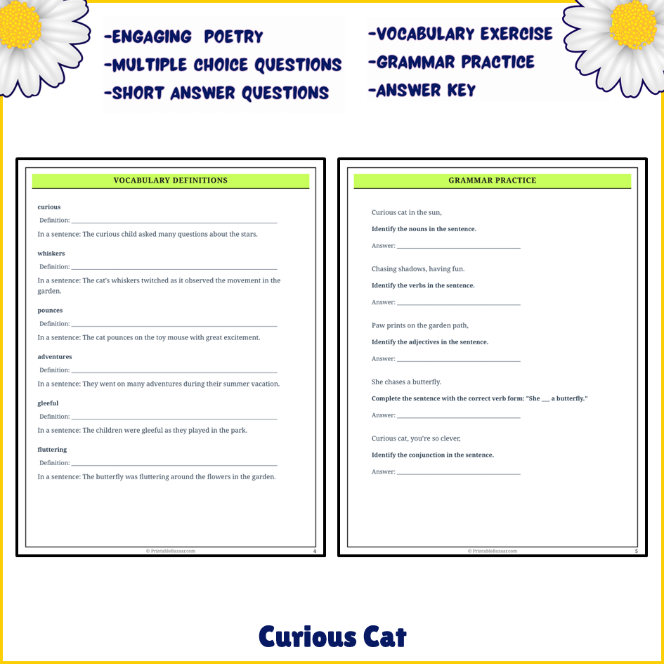 Curious Cat | Poem Grammar Worksheet Printable Activity