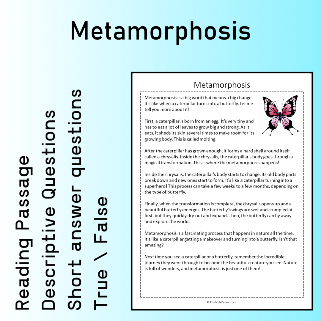 Metamorphosis | Reading Comprehension Passage Printable Worksheet
