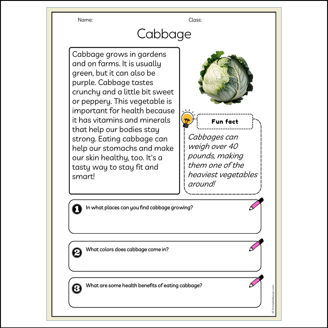 Cabbage | Reading Passage Comprehension Questions Writing Facts Worksheet