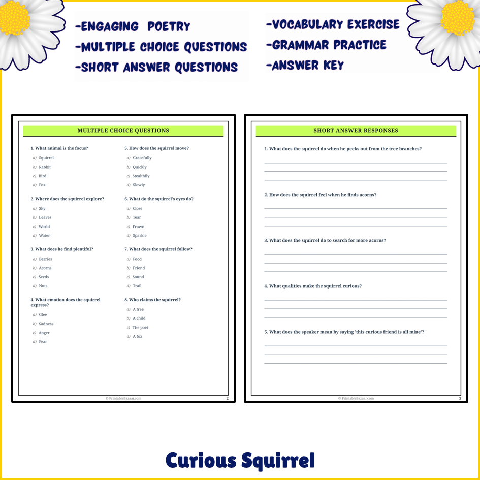 Curious Squirrel | Poem Grammar Worksheet Printable Activity