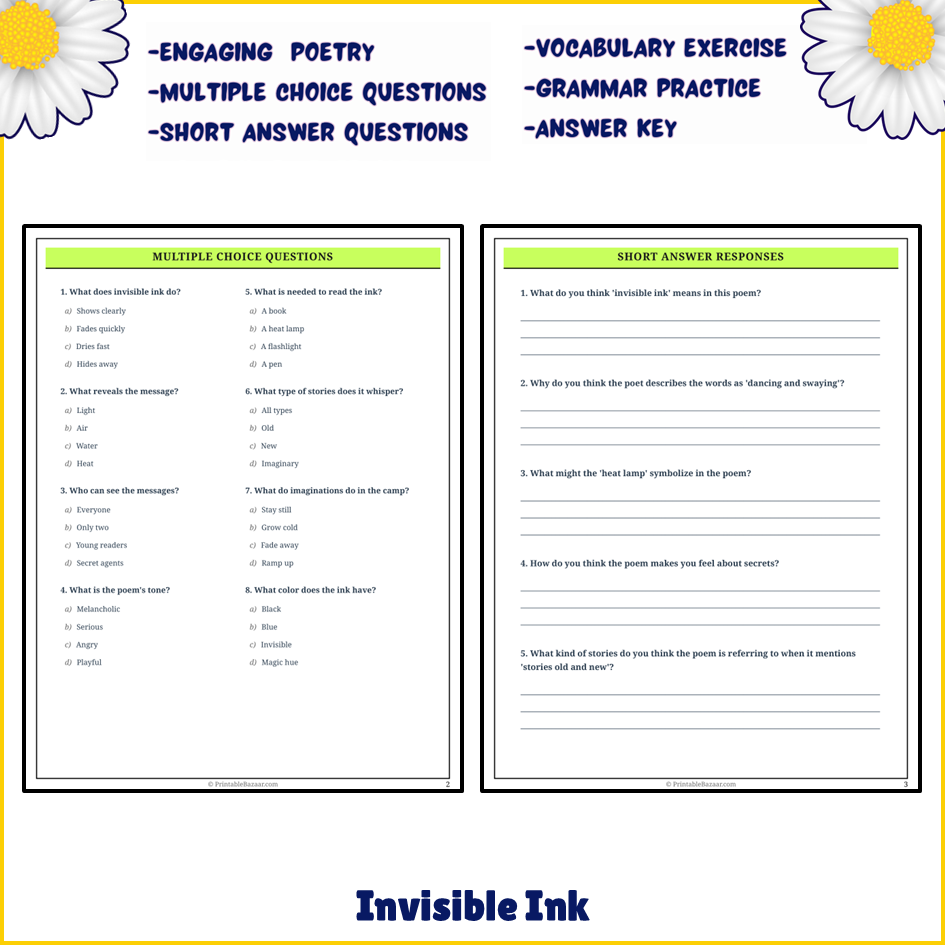 Invisible Ink | Poem Grammar Worksheet Printable Activity