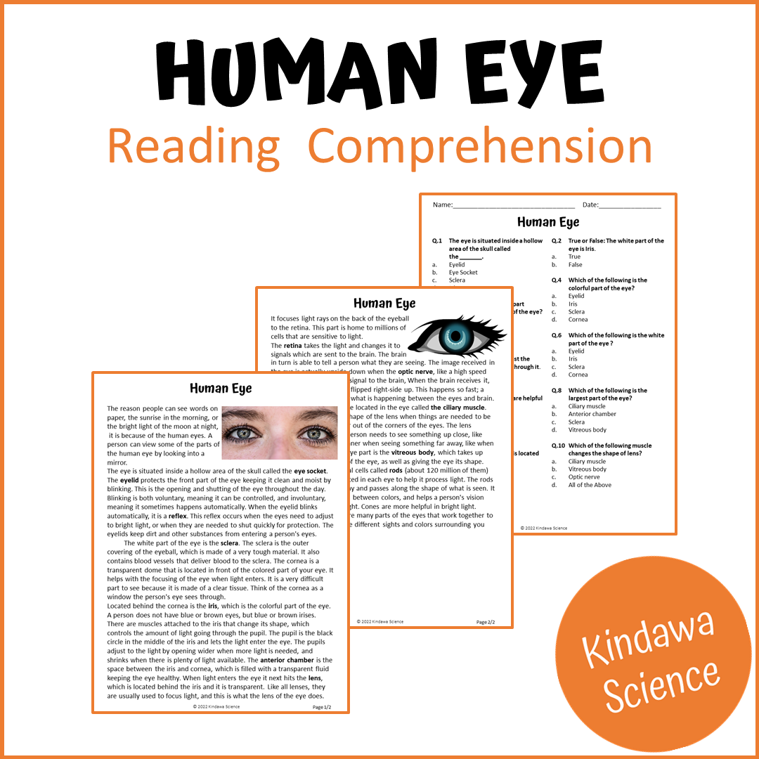 Human Eye Reading Comprehension Passage and Questions | Printable PDF