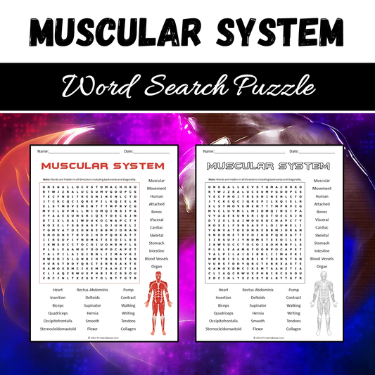 Muscular System Word Search Puzzle Worksheet PDF