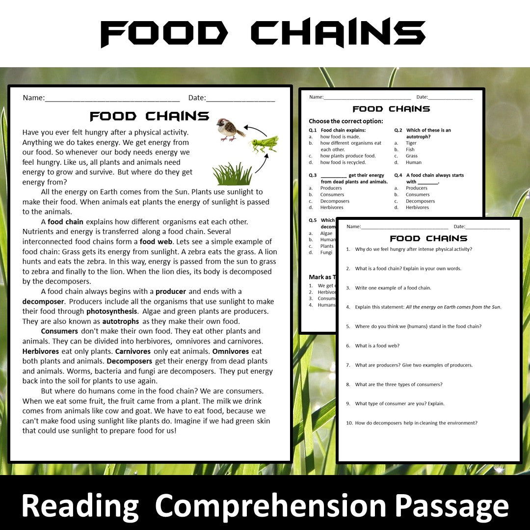 Food Chains Reading Comprehension Passage and Questions