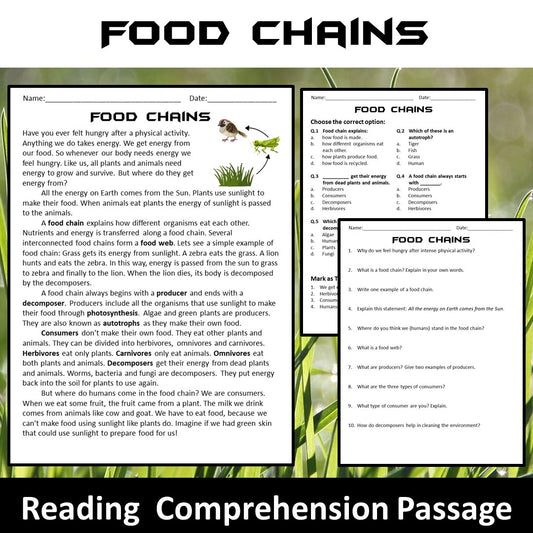 Food Chains Reading Comprehension Passage and Questions