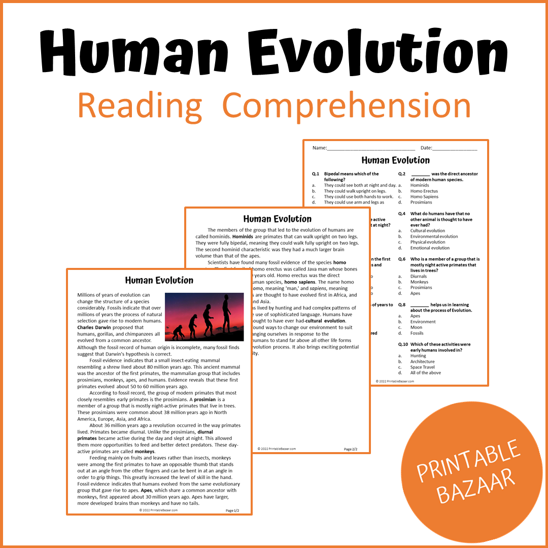 Human Evolution Reading Comprehension Passage and Questions | Printable PDF