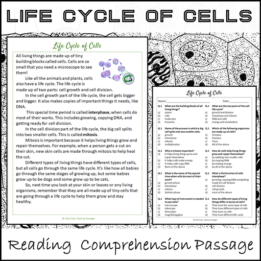 Life Cycle Of Cells Reading Comprehension Passage and Questions | Printable PDF