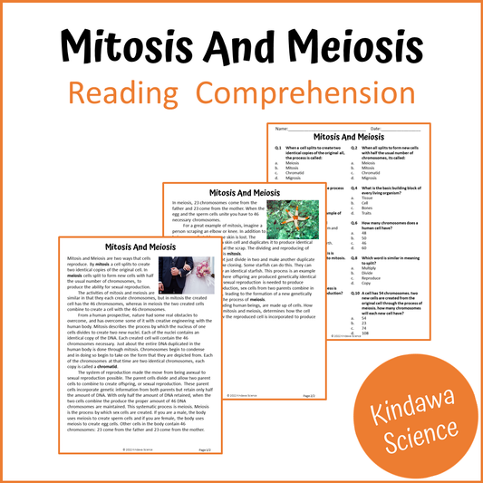 Mitosis And Meiosis Reading Comprehension Passage and Questions | Printable PDF