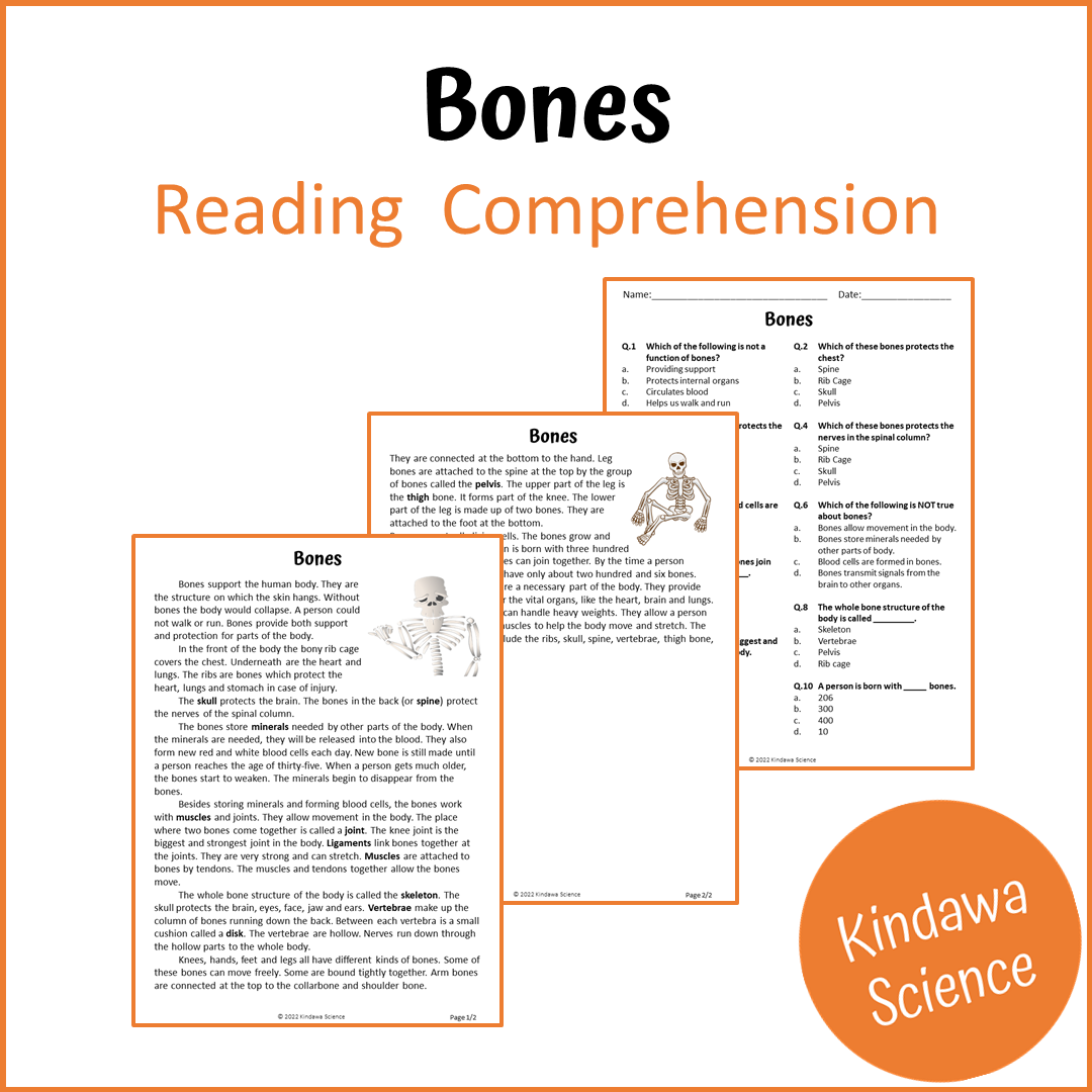 Bones Reading Comprehension Passage and Questions | Printable PDF