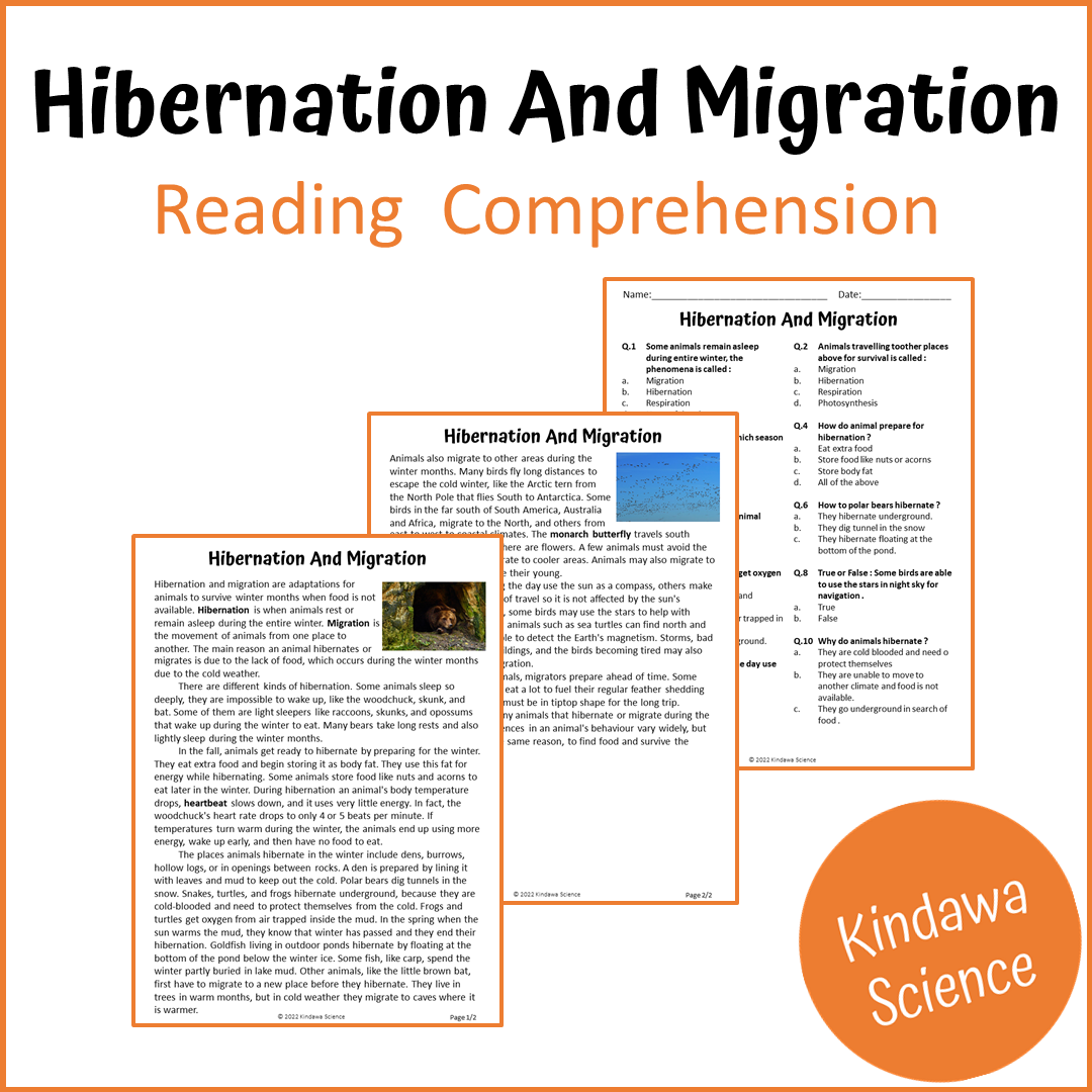 Hibernation And Migration Reading Comprehension Passage and Questions | Printable PDF