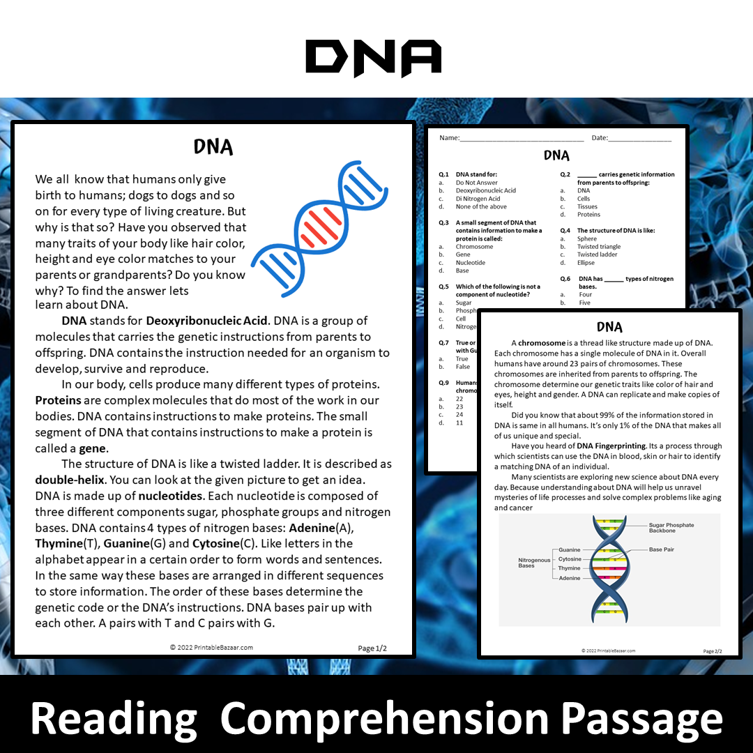 Dna Reading Comprehension Passage and Questions | Printable PDF